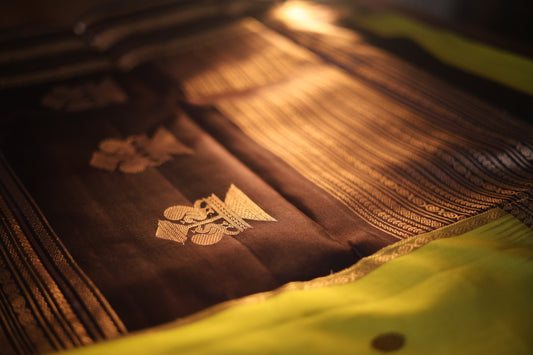 Lime Green Kanjeevaram Silk Saree with Espresso Brown Zari Border