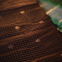 Brown and Green Kanjeevaram Silk Saree with Gold Zari Checks