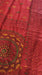 A red embroidered saree features intricate gold, green, and yellow embroidery, including a large circular mandala design.