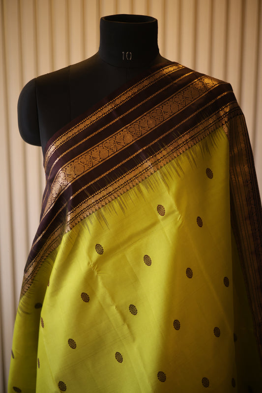 Lime Green Kanjeevaram Silk Saree with Espresso Brown Zari Border