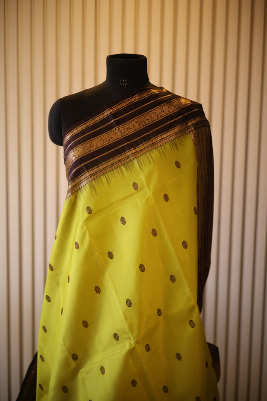 Lime Green Kanjeevaram Silk Saree with Espresso Brown Zari Border