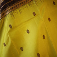 Lime Green Kanjeevaram Silk Saree with Espresso Brown Zari Border