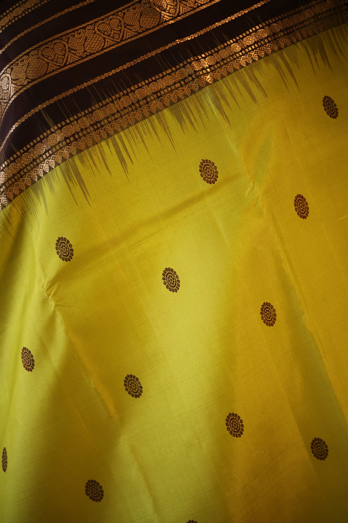 Lime Green Kanjeevaram Silk Saree with Espresso Brown Zari Border