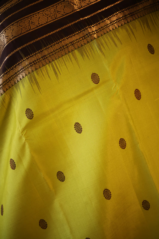 Lime Green Kanjeevaram Silk Saree with Espresso Brown Zari Border